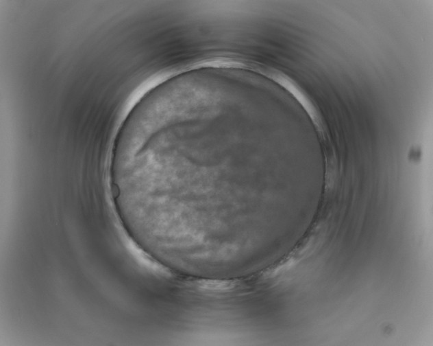 X0000090620861200708141411