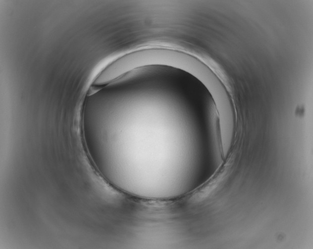 X0000090620862200708141411