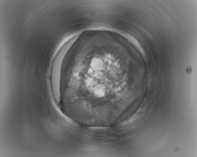 X0000090620863200708141411