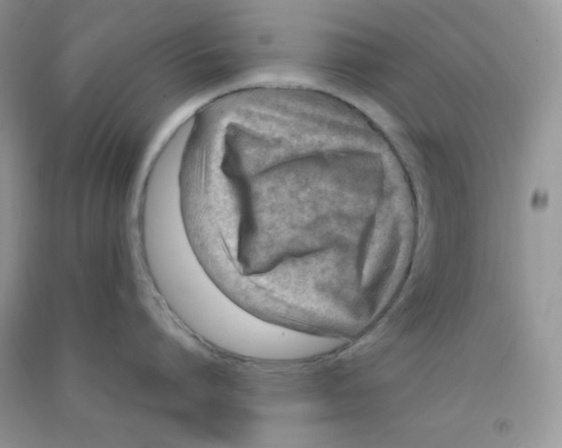 X0000090620864200708141411