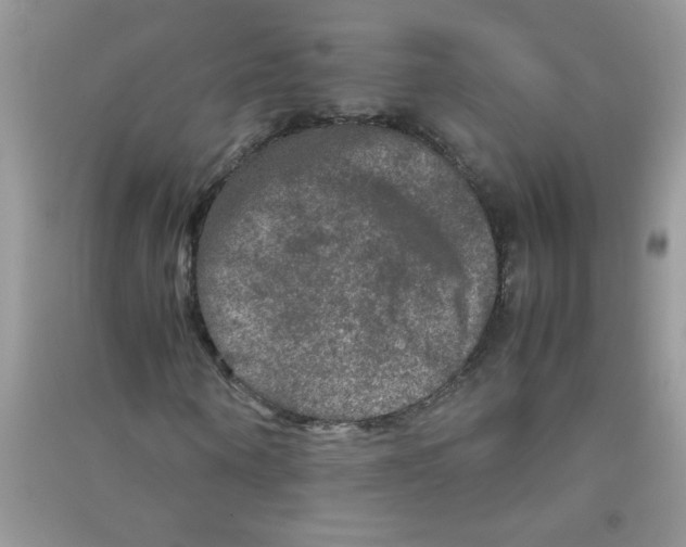 X0000090620866200708141411