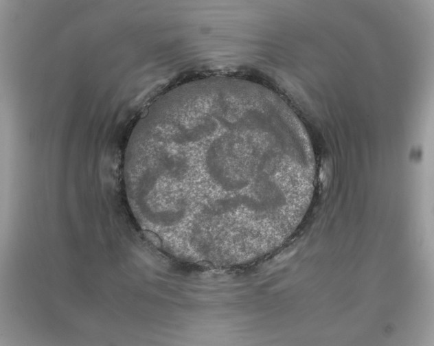 X0000090620867200708141411