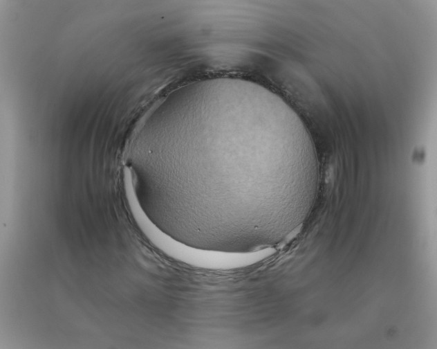 X0000090620868200708141411