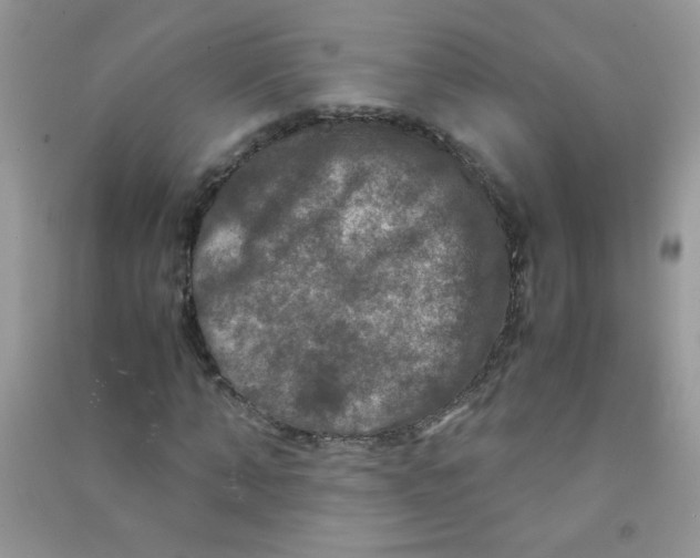 X0000090620870200708141411