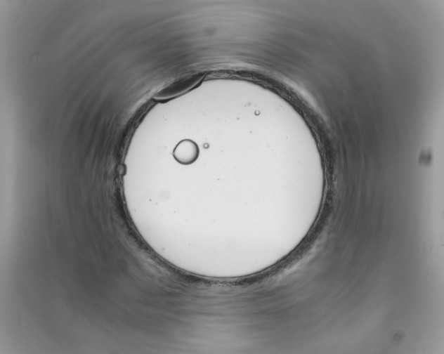 X0000090620873200708141411