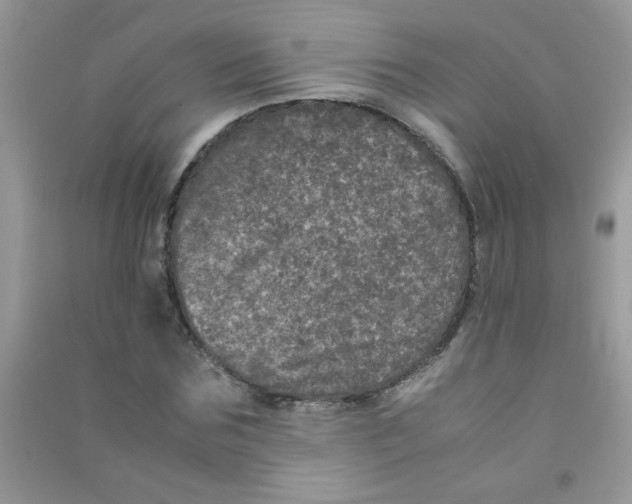 X0000090620875200708141411