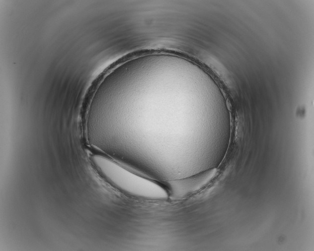 X0000090620876200708141411