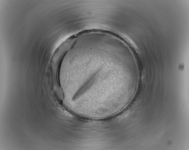 X0000090620877200708141411