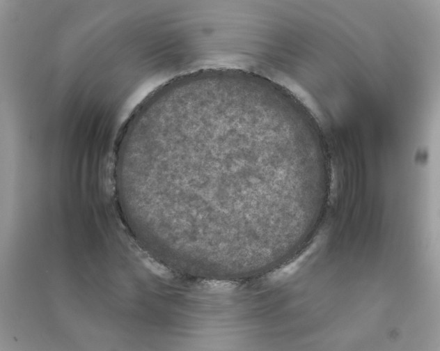 X0000090620878200708141411