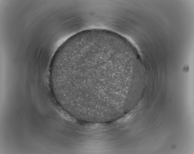 X0000090620879200708141411