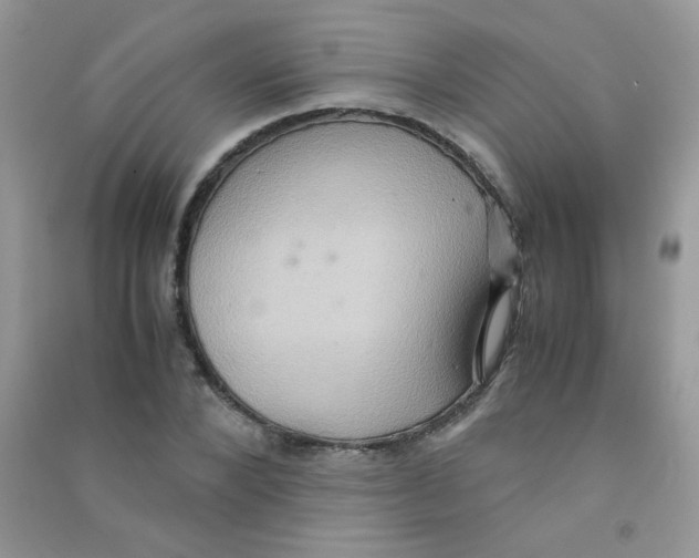 X0000090620880200708141411