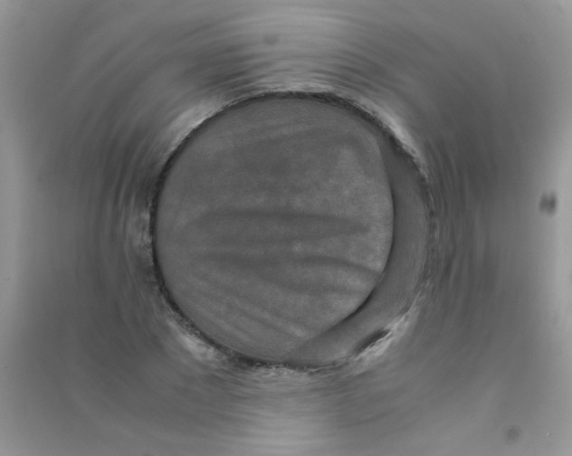 X0000090620881200708141411