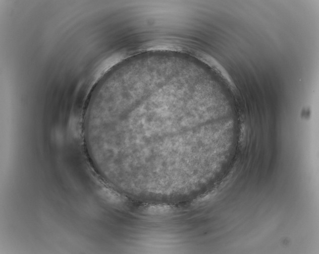 X0000090620882200708141410