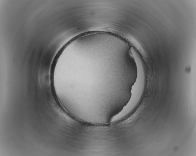 X0000090620884200708141410