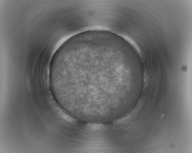 X0000090620886200708141410