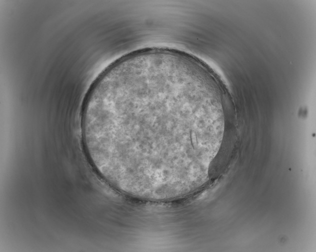 X0000090620887200708141410