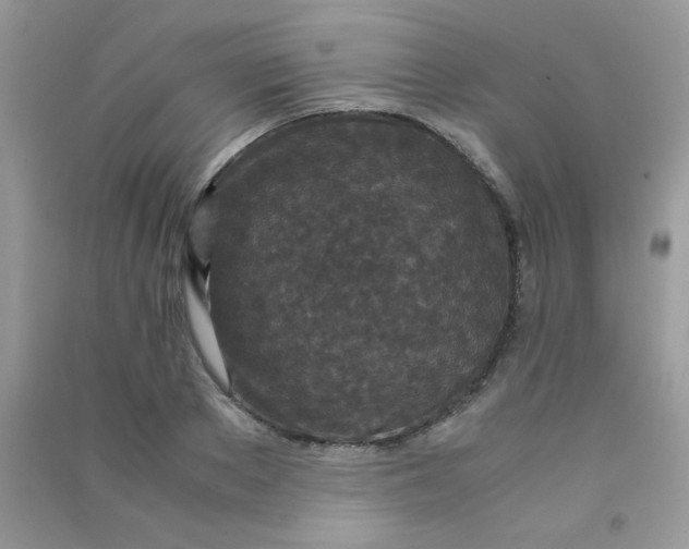 X0000090620889200708141410