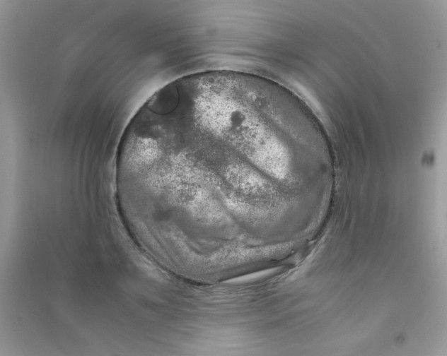 X0000090620891200708141410