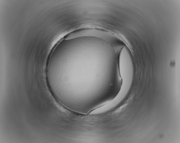 X0000090620893200708141410