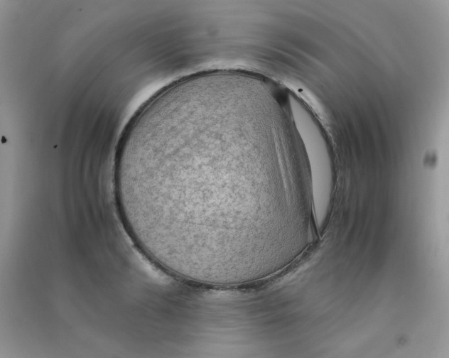 X0000090620894200708141410