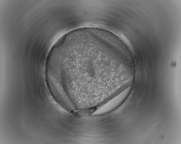 X0000090620896200708141410