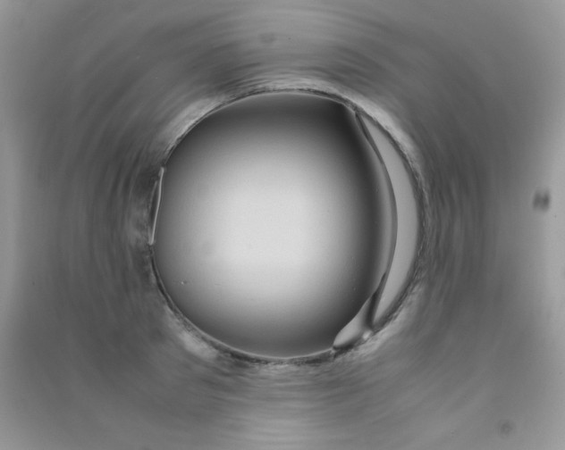 X0000090620897200708141410