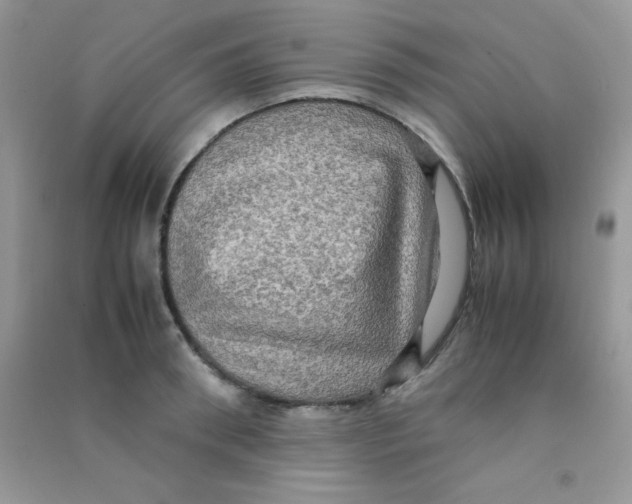 X0000090620898200708141410