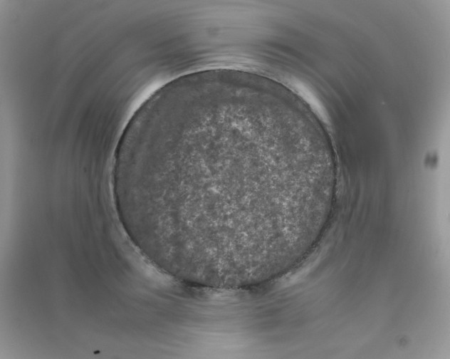 X0000090620899200708141410