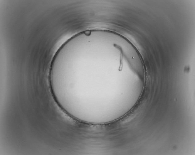 X0000090620901200708141410