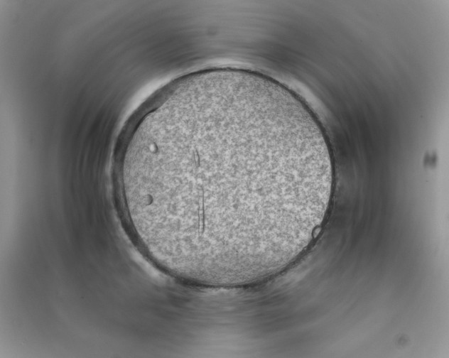 X0000090620902200708141410