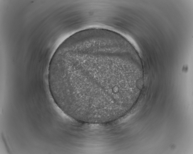 X0000090620903200708141410