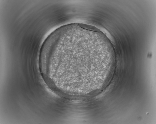 X0000090620904200708141410