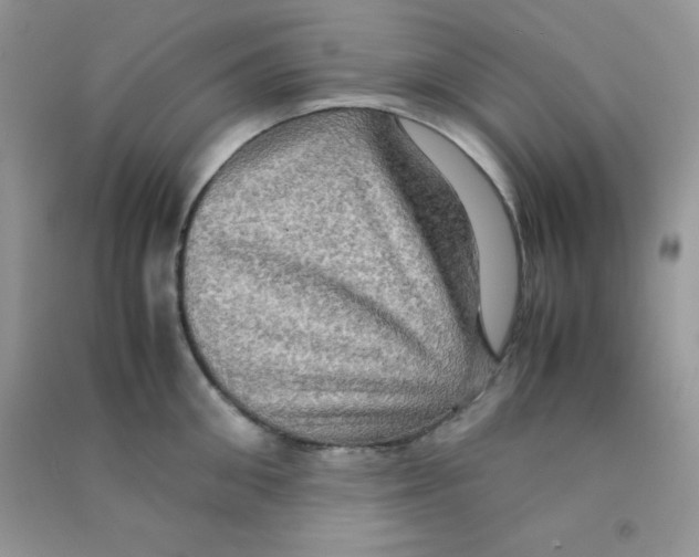 X0000090620906200708141410