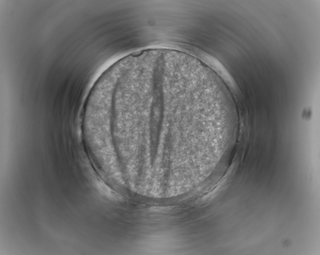 X0000090620908200708141410