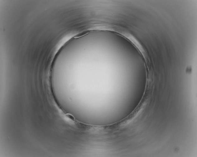 X0000090620909200708141410