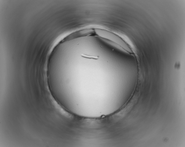 X0000090620910200708141410