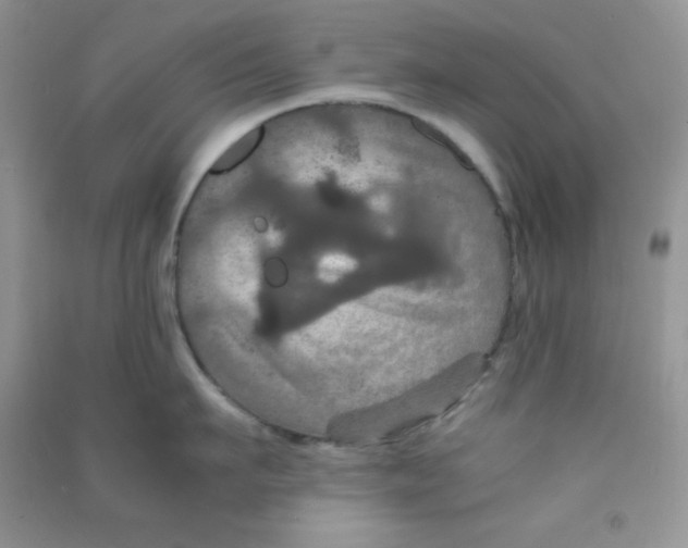 X0000090620911200708141410