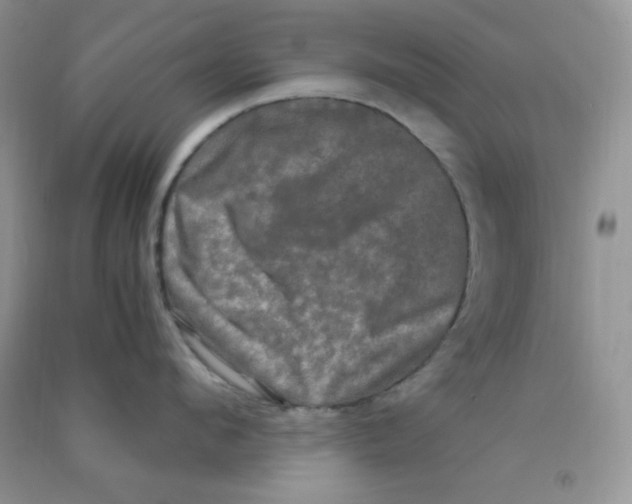 X0000090620912200708141410