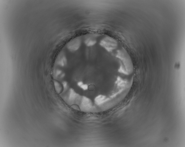 X0000090620913200708141409