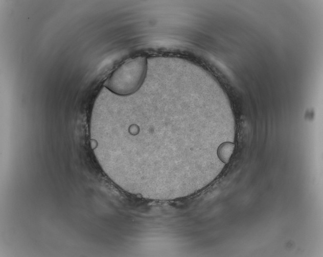 X0000090620918200708141409