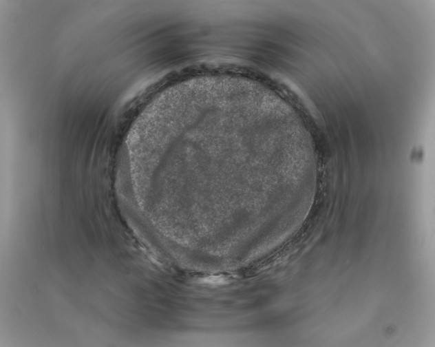 X0000090620919200708141409