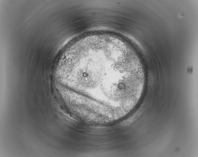 X0000090620921200708141409