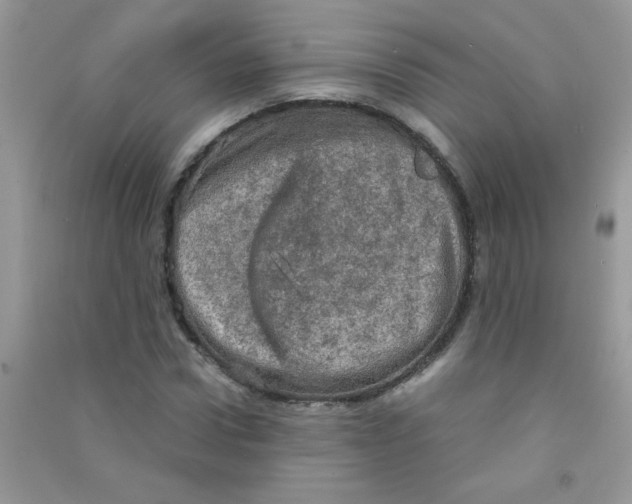 X0000090620922200708141409