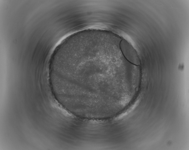 X0000090620923200708141409