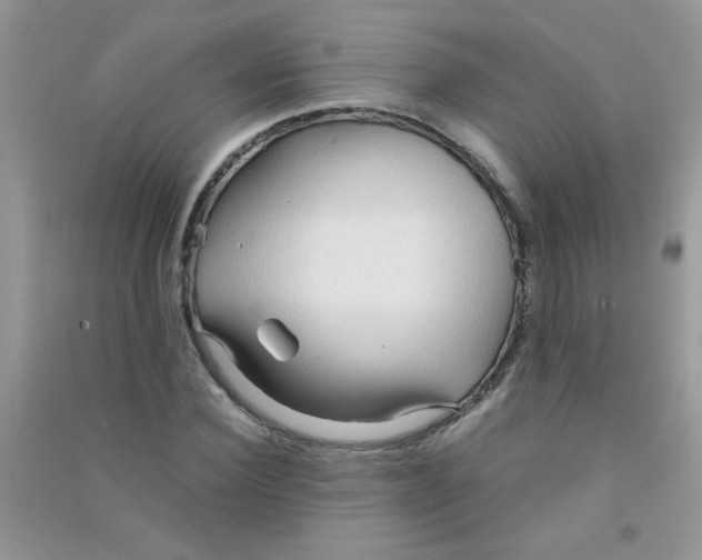 X0000090620924200708141409