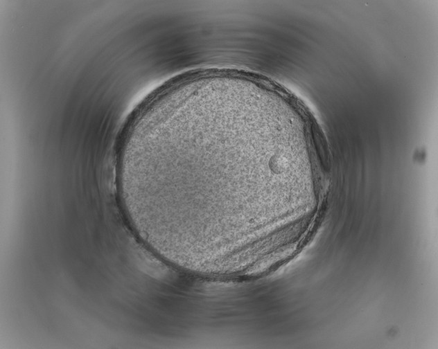 X0000090620925200708141409