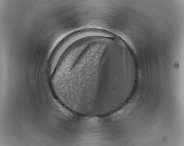 X0000090620926200708141410