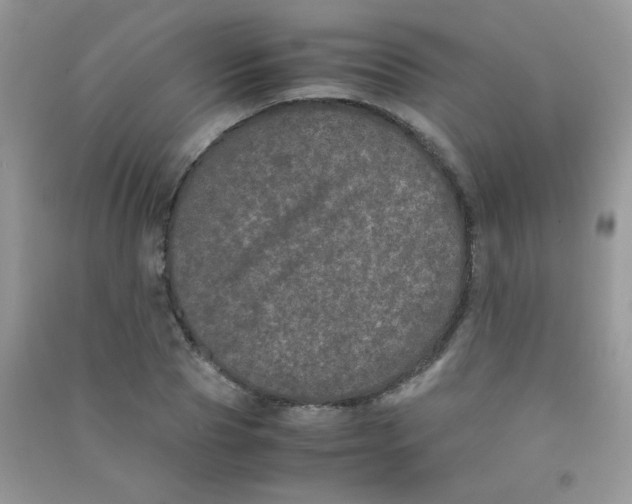 X0000090620929200708141410