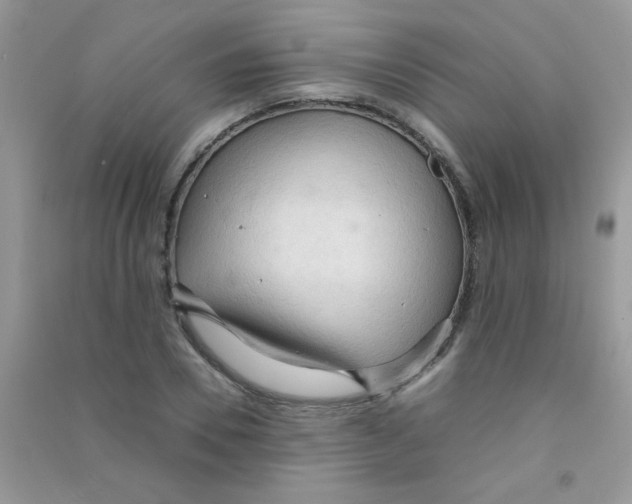 X0000090620930200708141410