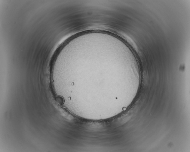 X0000090620931200708141410